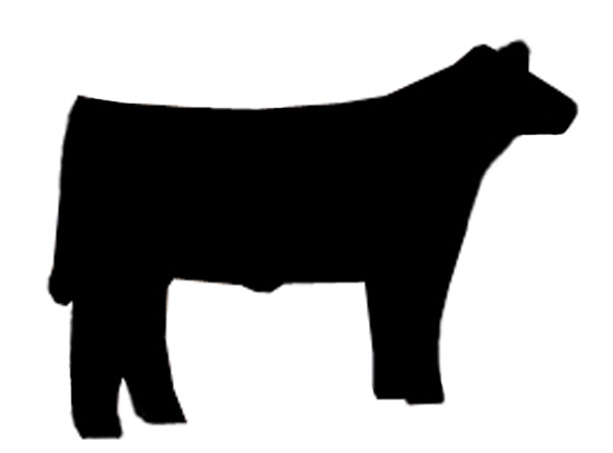 Gallery For > Show Steer Silhouette